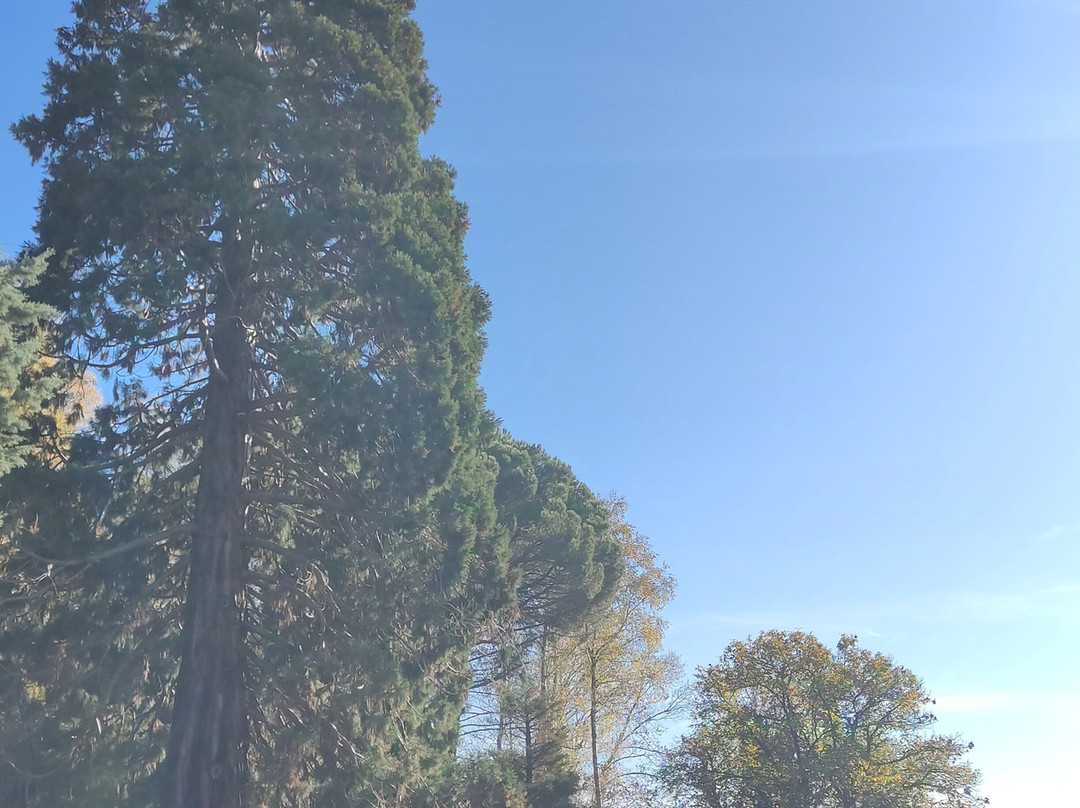 Parco della Burcina景点图片
