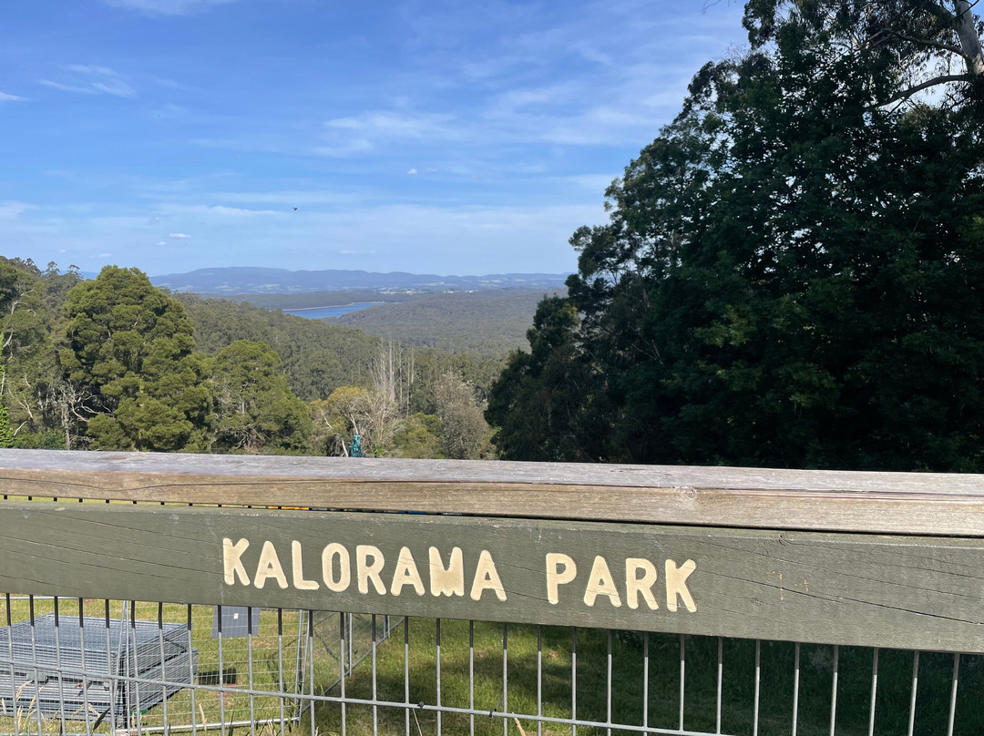 Kalorama Park Lookout-Kalorama必去景点