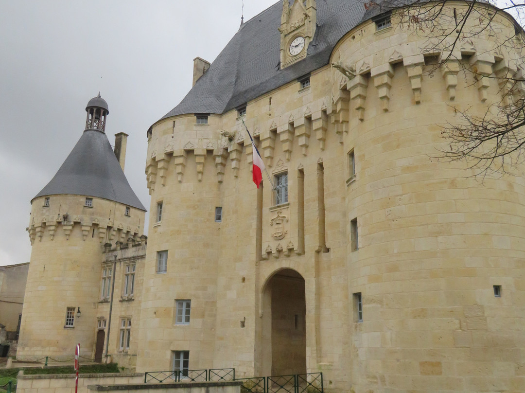Chateau de Jonzac景点图片