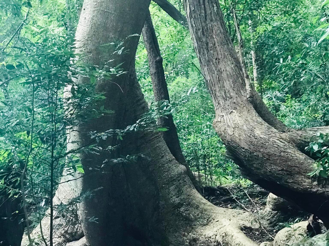 Tukbro-锡吉里亚必去景点