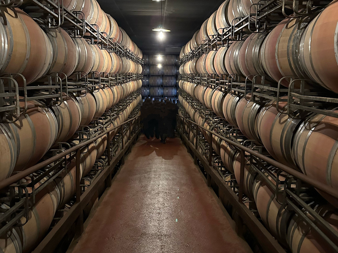 Bodegas Marqués De Cáceres-Cenicero必去景点