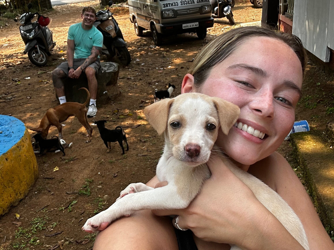 ARC Goa-格纳戈纳必去景点