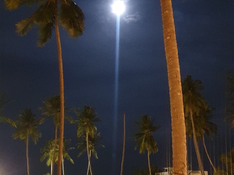Batam City Tour-巴淡岛必去景点