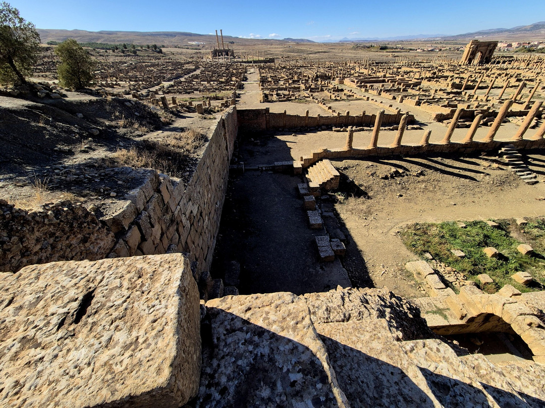 Roman Ruins Timgad景点图片