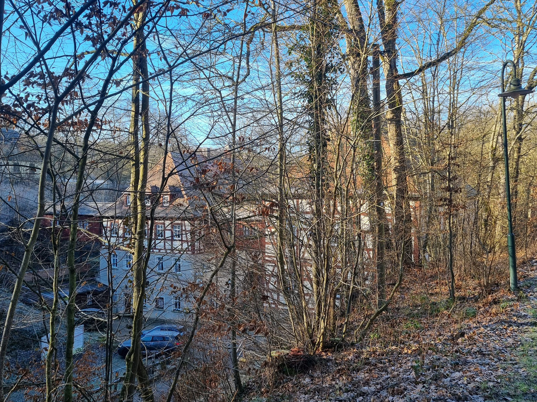 Waldgasthof Wildbad主图