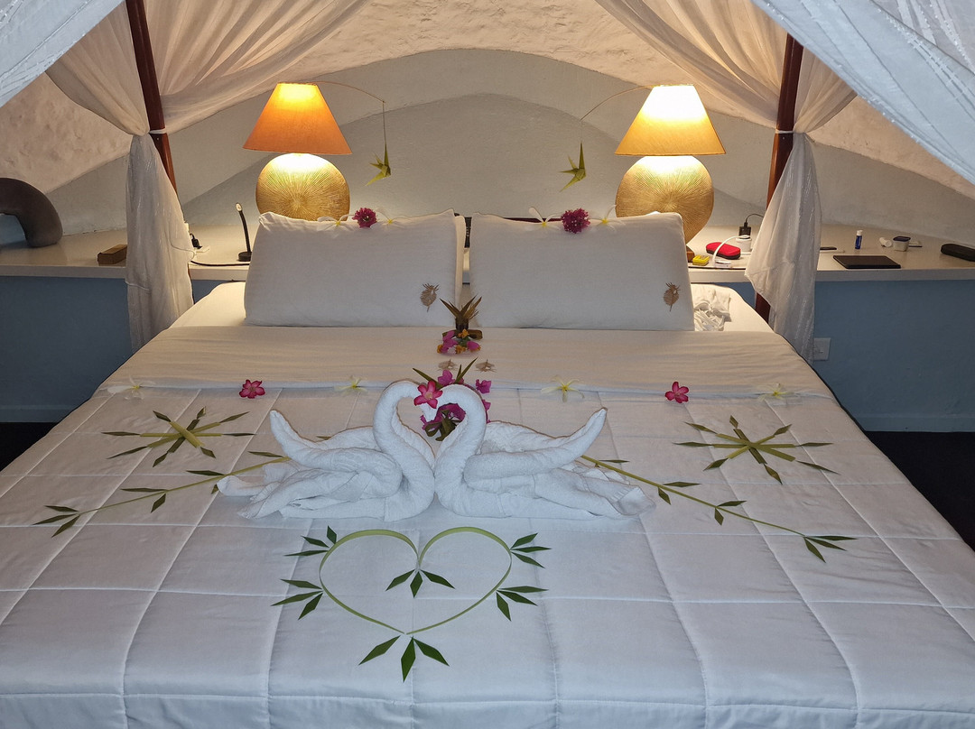 尼卡岛度假村主图