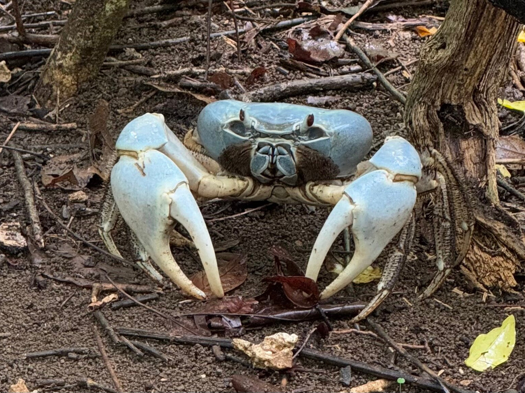 Indian Ocean Experiences-圣诞岛必去景点