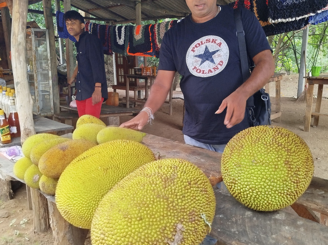 Amith Tours & Travels-班托塔必去景点