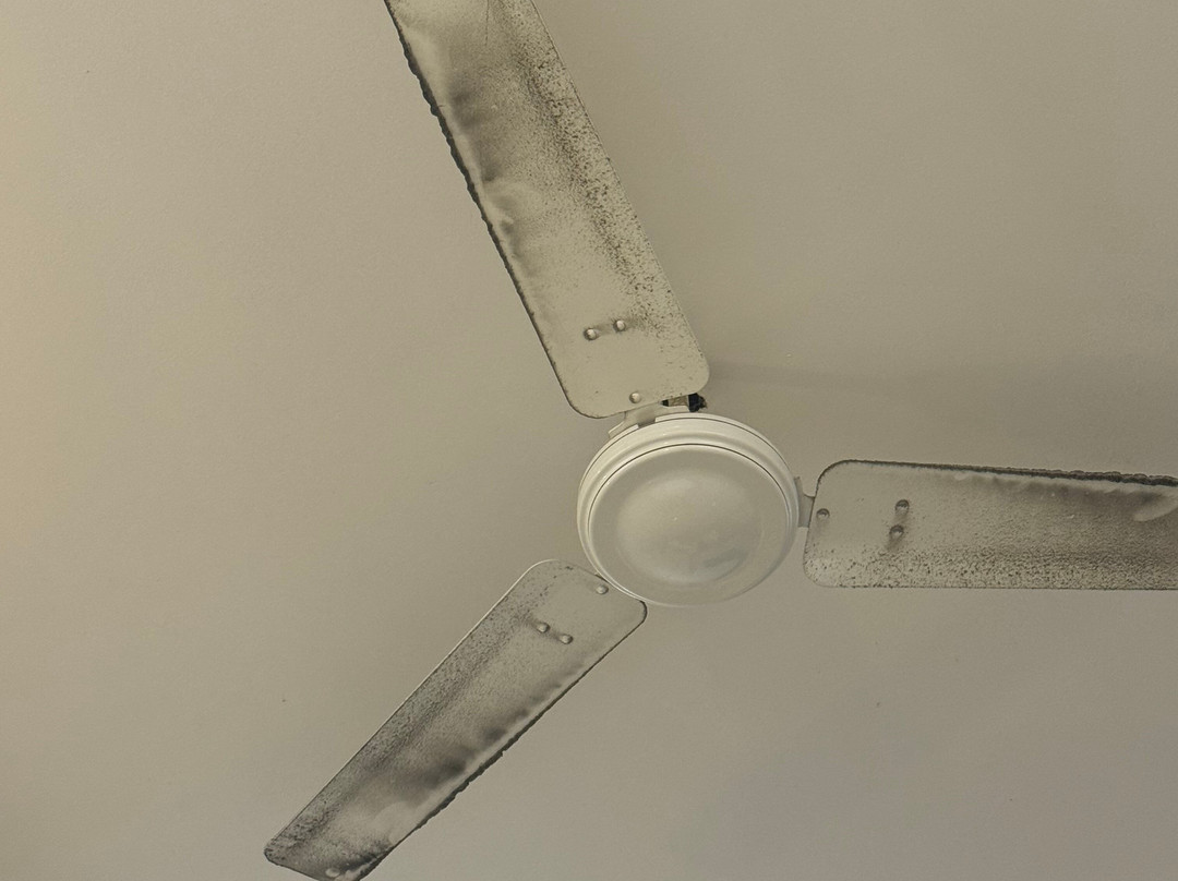 Spree Hotel Agra主图