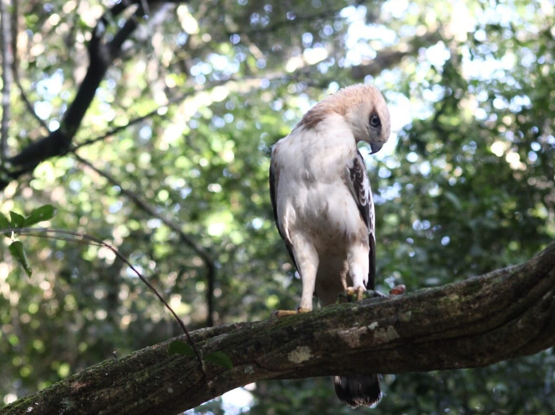 Wilpattu National Park景点图片