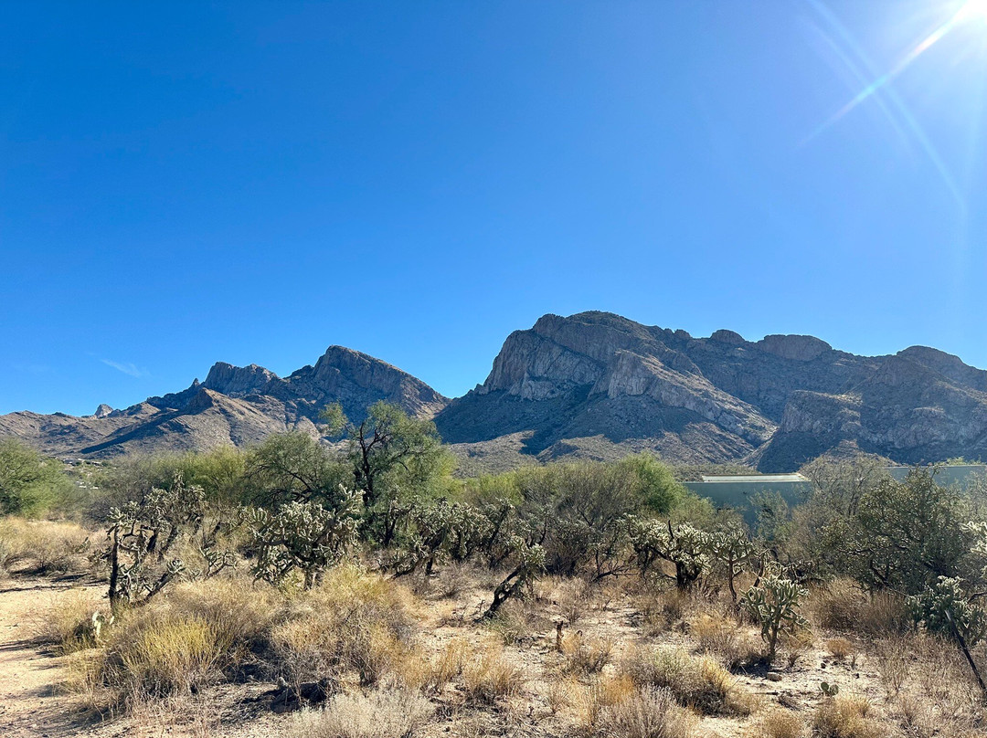 Linda Vista Trail-Oro Valley必去景点