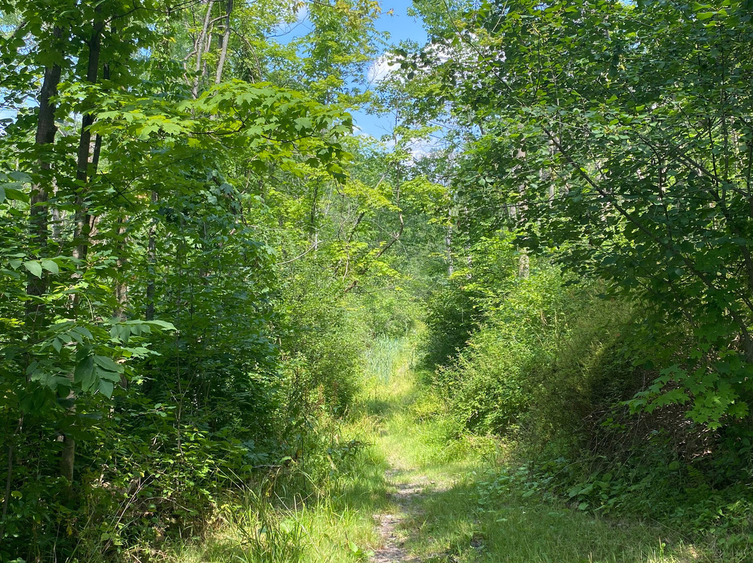 Punderson State Park-Newbury必去景点