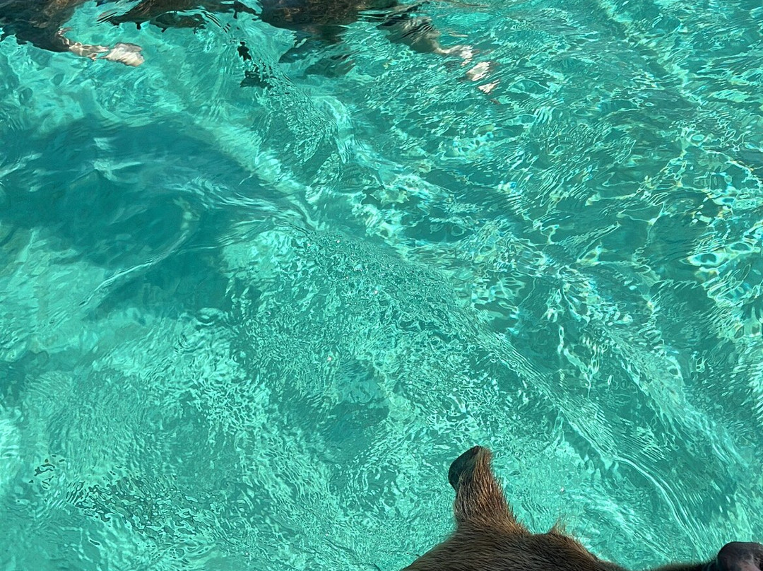 Sugar Adventure Company-day Boat Tours-大埃克苏马必去景点