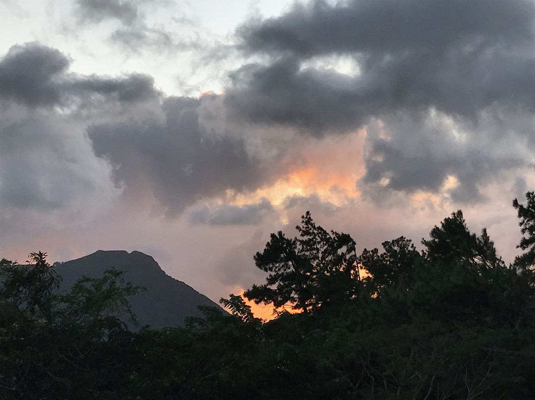 The Golden Frog Inn主图