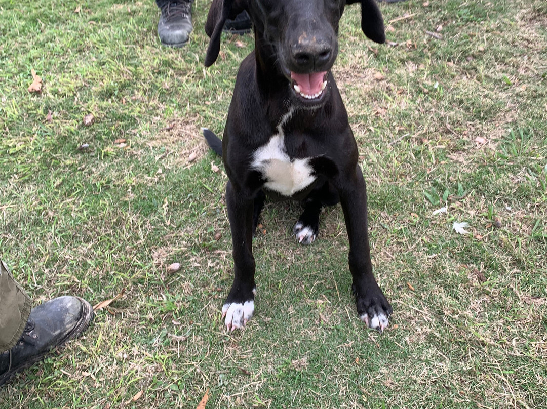 Finca Tungasuk-Caimito必去景点