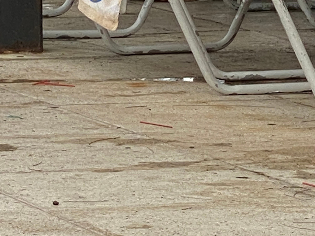 Vivo Beach Club-卡罗来纳必去景点