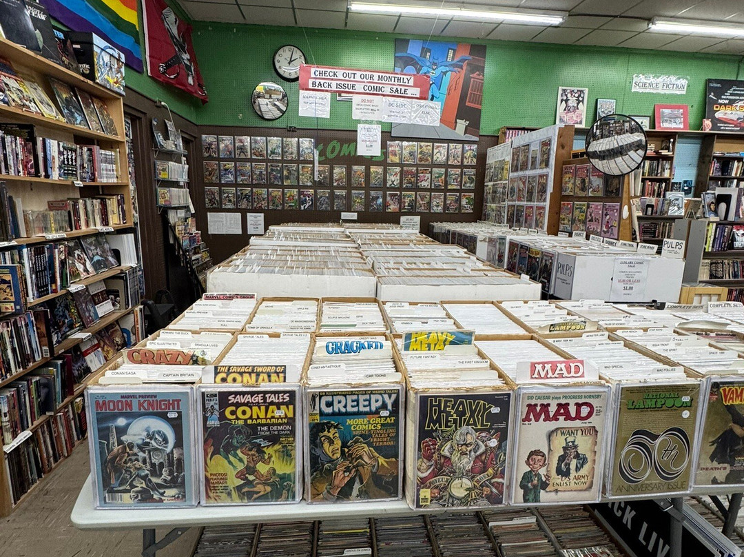 Dark Star Books & Comics-Yellow Springs必去景点