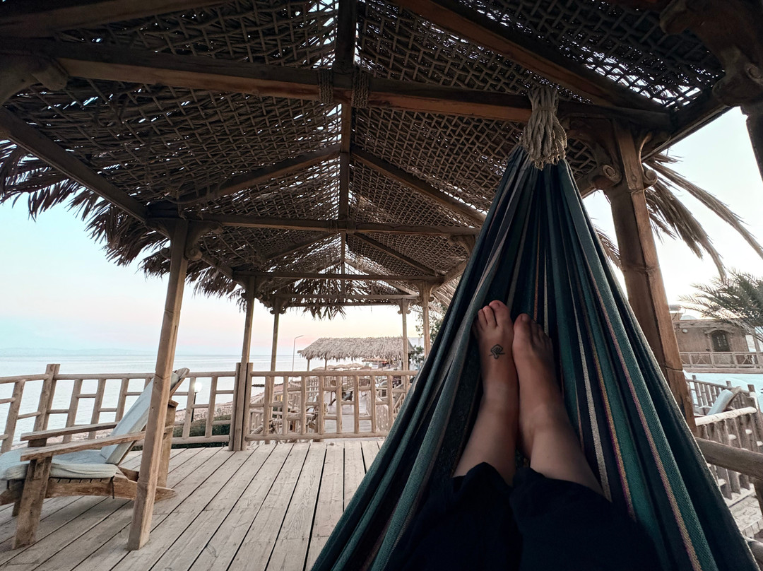 INMO Divers Home主图