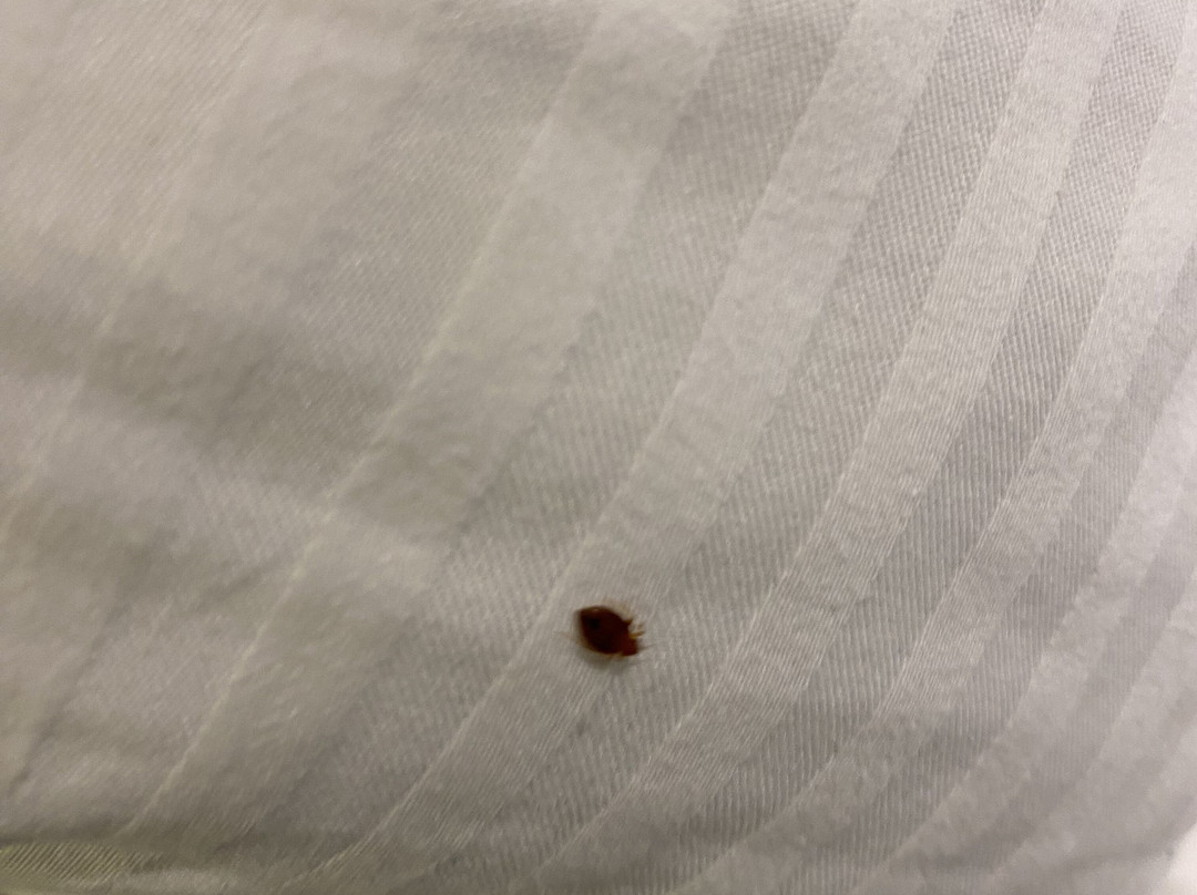 Golden Nugget Lake Charles Hotel & Casino-莱克查尔斯必去景点