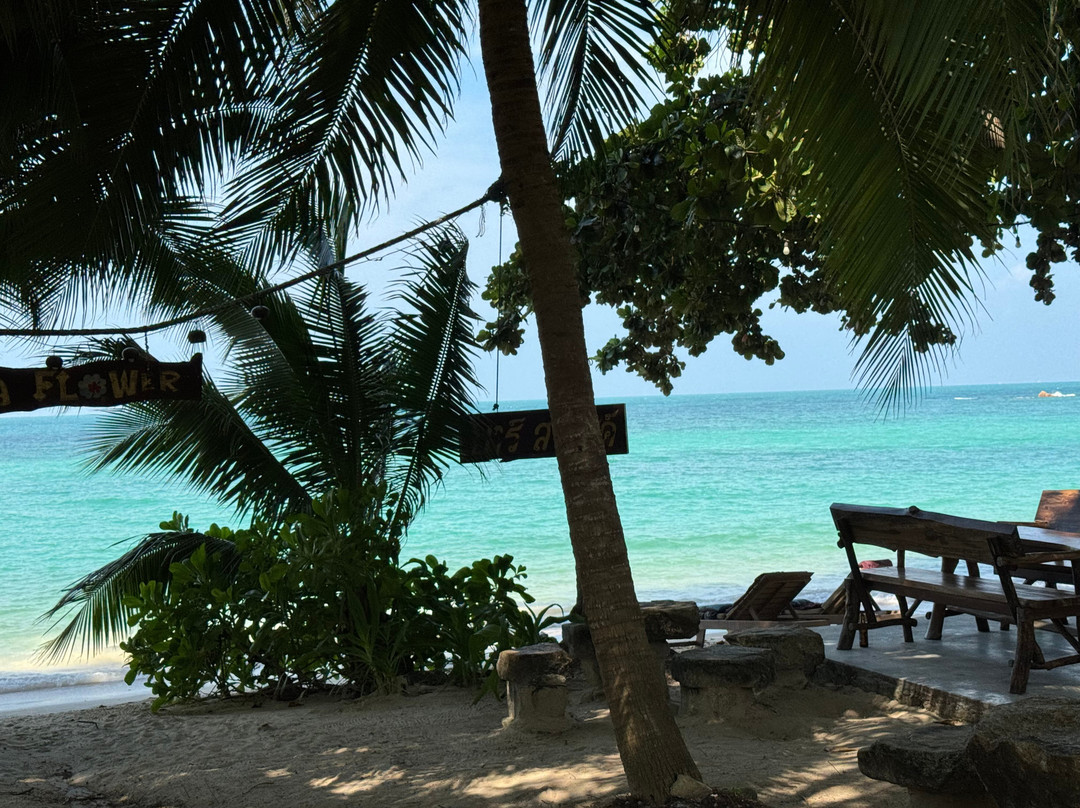 海之花简易别墅旅馆主图