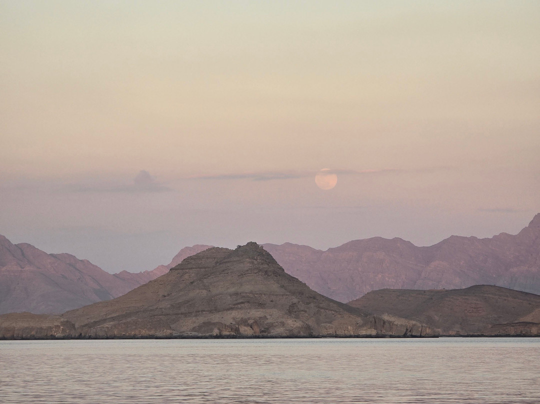 Dhow Khasab Tours-海塞卜必去景点