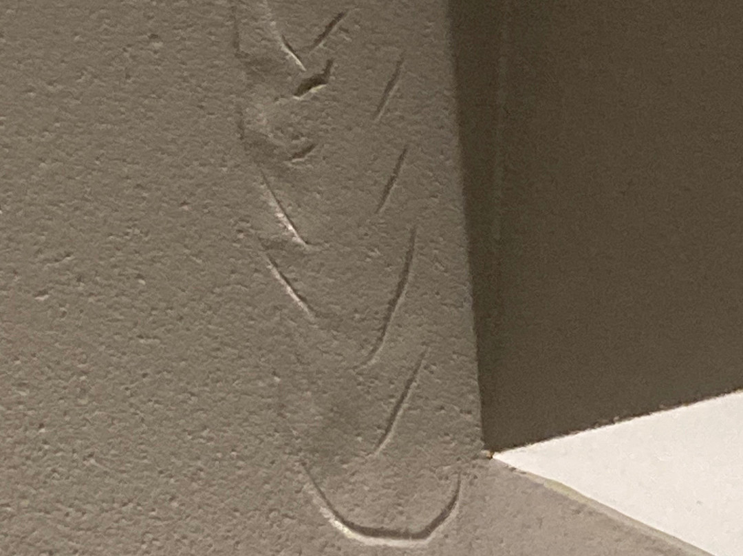 Sheraton Baltimore Washington Airport Hotel - BWI主图