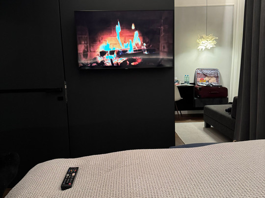 The Manes Boutique Hotel Prague主图