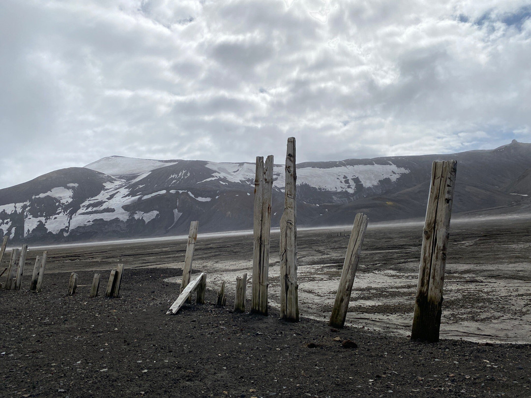 Whalers Bay-Antarctic Peninsula必去景点