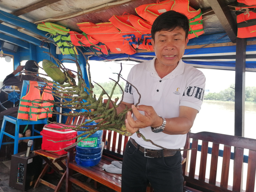 Vietnam Private Travel-胡志明市必去景点