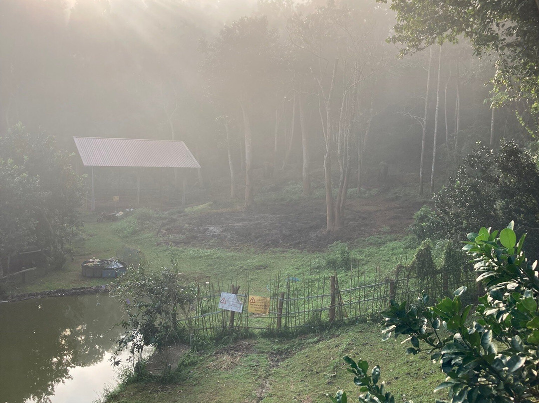 Puthawan Elephant Camp主图