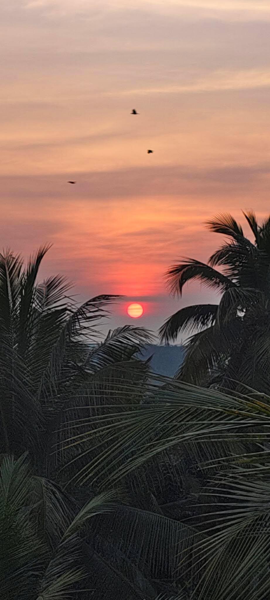 HUE GUH The Porto Candolim-酒店景观