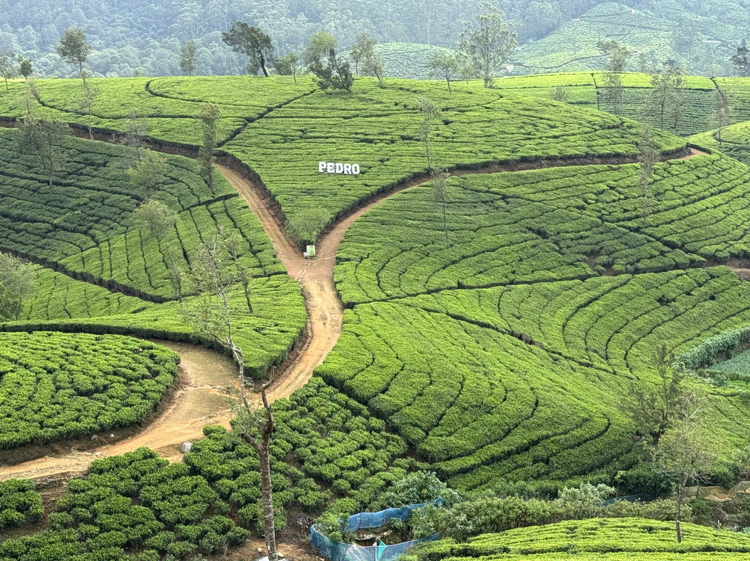 Sri Lanka driver booking & tours plc-Nawalapitiya必去景点