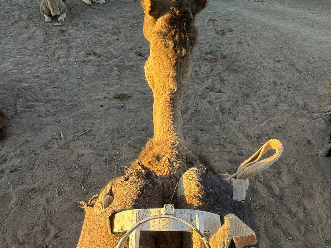 Great Travel Morocco-马拉喀什必去景点