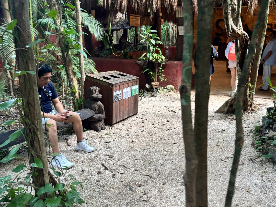 Off Road Cancun-坎昆必去景点