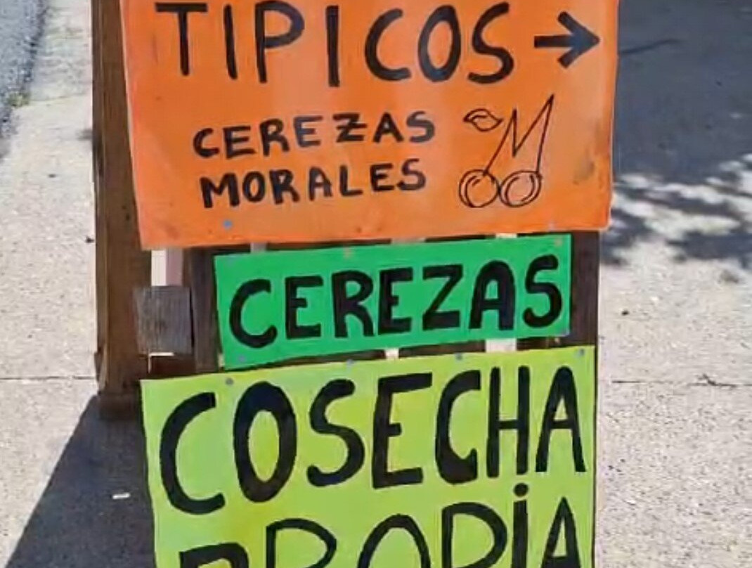 Cerezas Morales景点图片