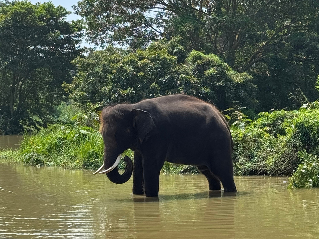 Sri Lanka Peter Tours-阿杭玛必去景点