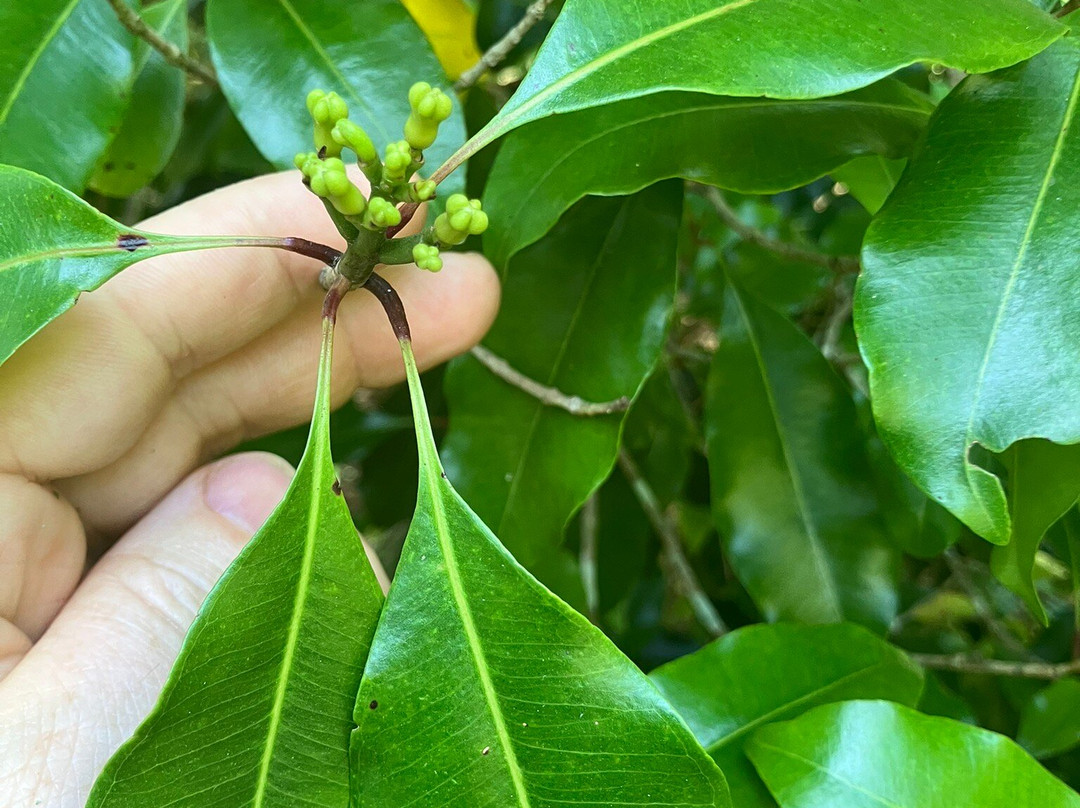 Bwa Mzee Spice Farm-基万嘎必去景点