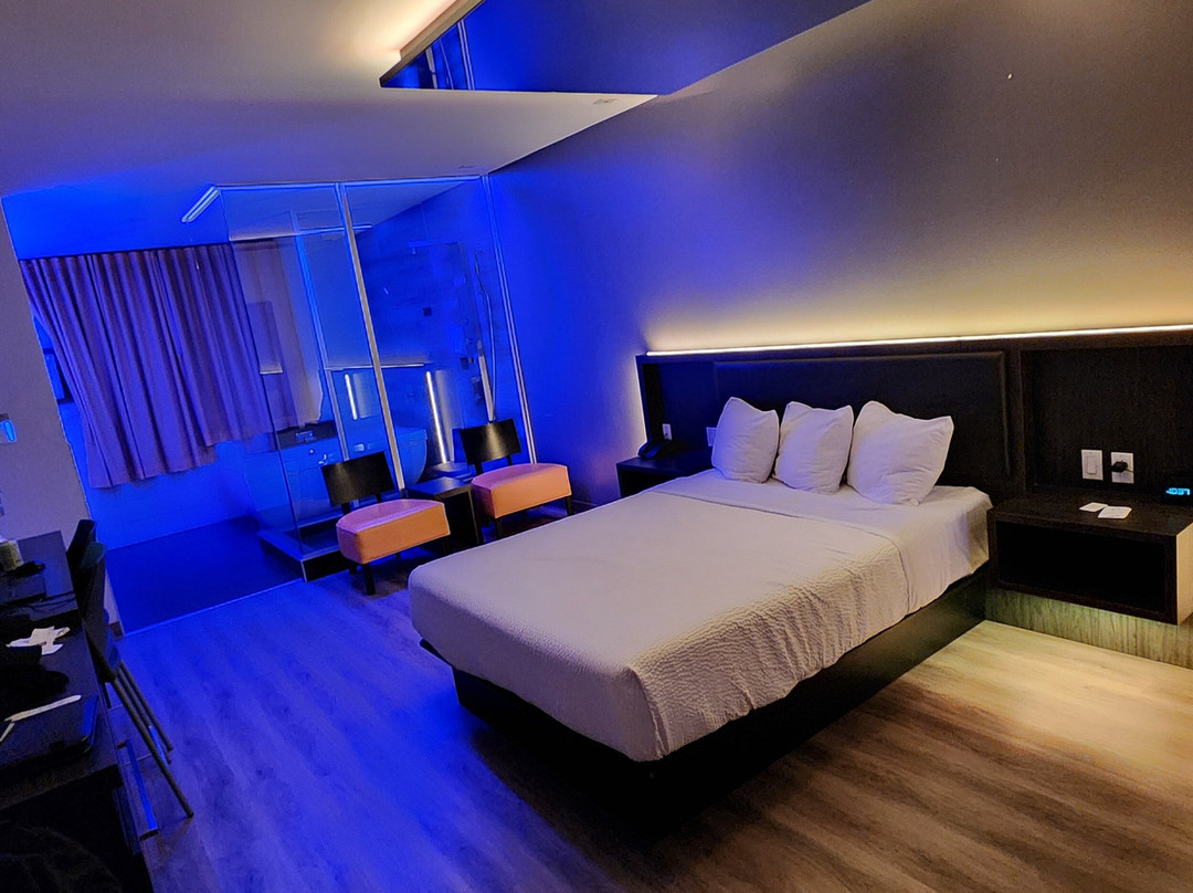 Hôtel Ô Laval主图