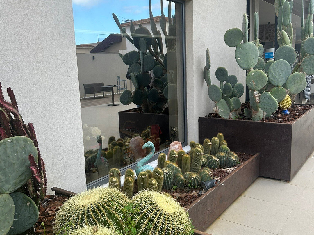 Giafra  Sicilian Luxury Rooms主图