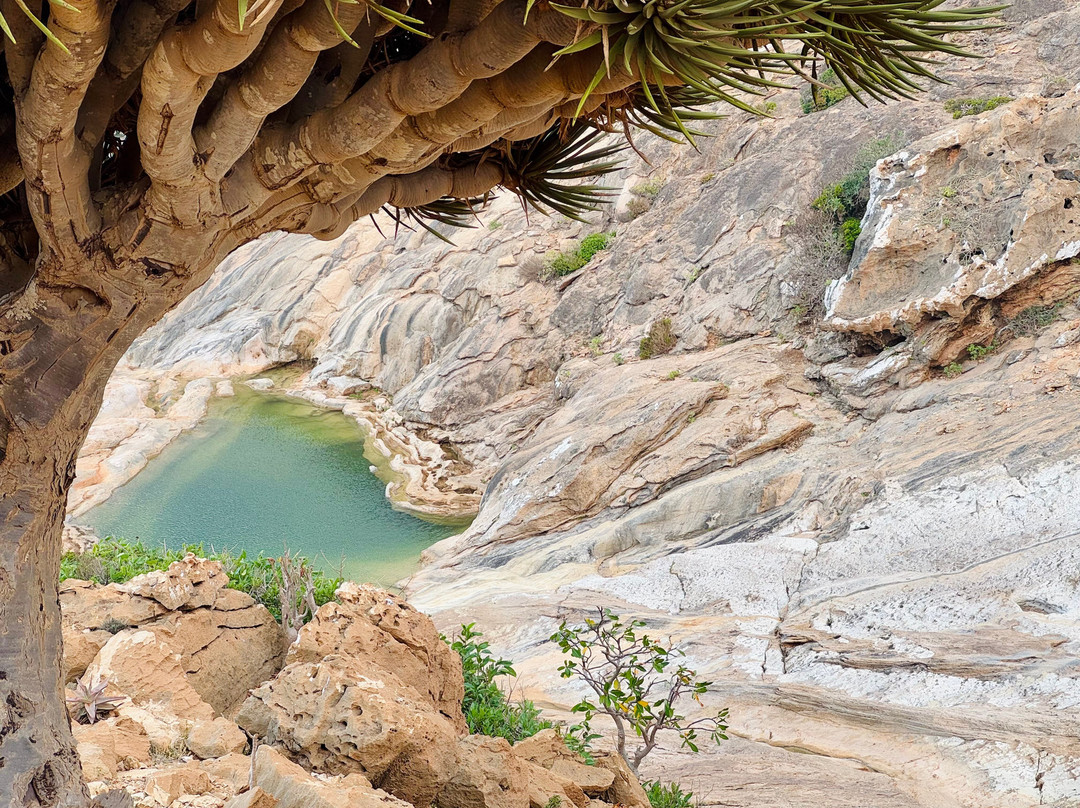 Socotra Trek Tours景点图片