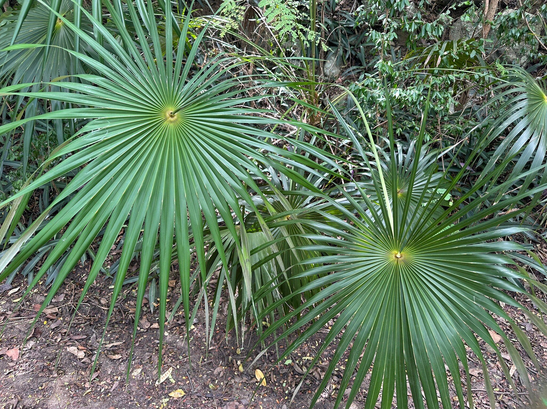 Lind Point Trail-克鲁兹湾必去景点