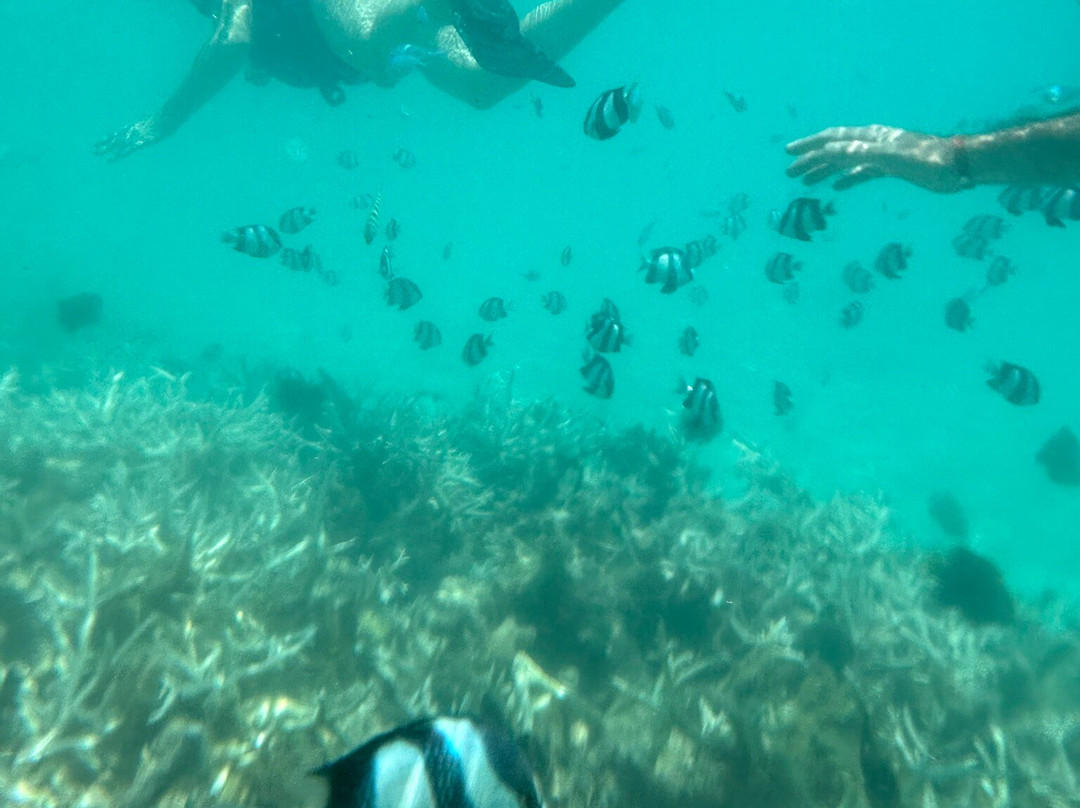 Sea Serenity Excursions景点图片