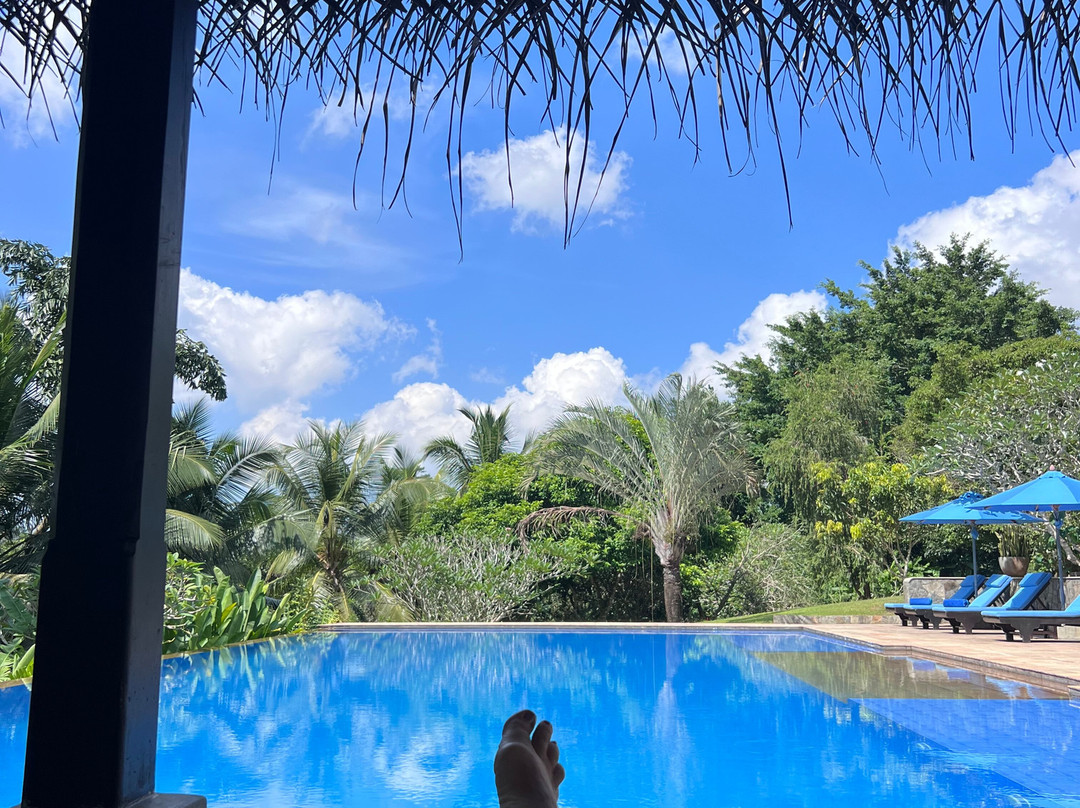 Yoga in Niyagama House-加勒必去景点