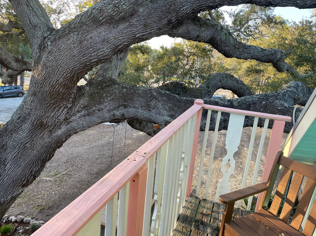 Cedar Key Bed and Breakfast主图