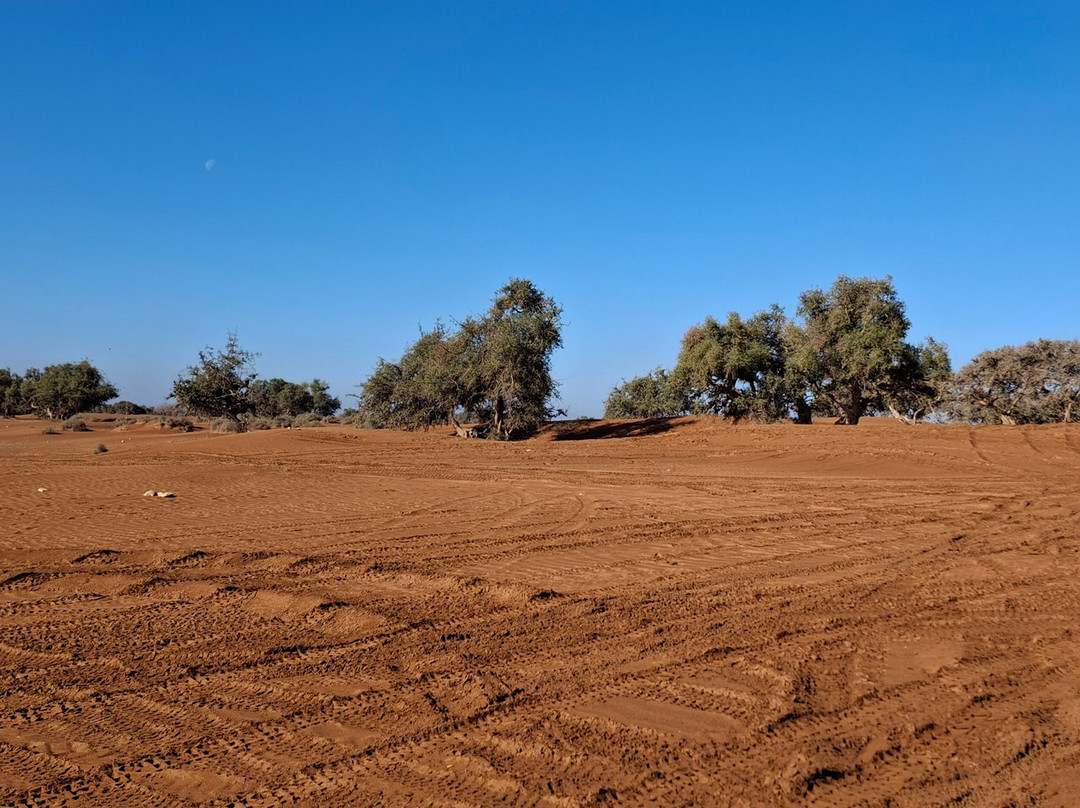 Elik Adventure Quad & Buggy Agadir-阿加迪尔必去景点