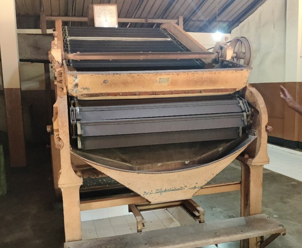 Handunugoda Tea Estate景点图片