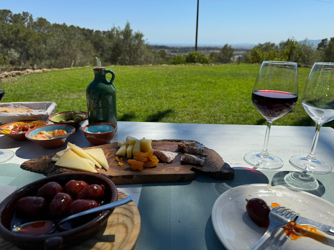Can Pizà Boutique Winery景点图片