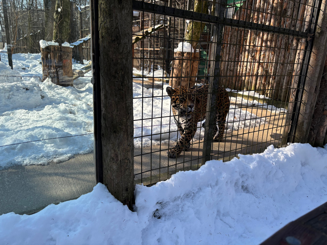 Bucharest Zoo景点图片