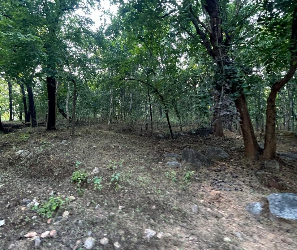 Betla National Park-Palamu District必去景点