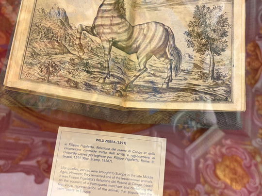 里卡迪图书馆-佛罗伦萨必去景点